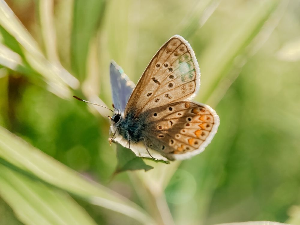 Photograph by Анна Бобкова