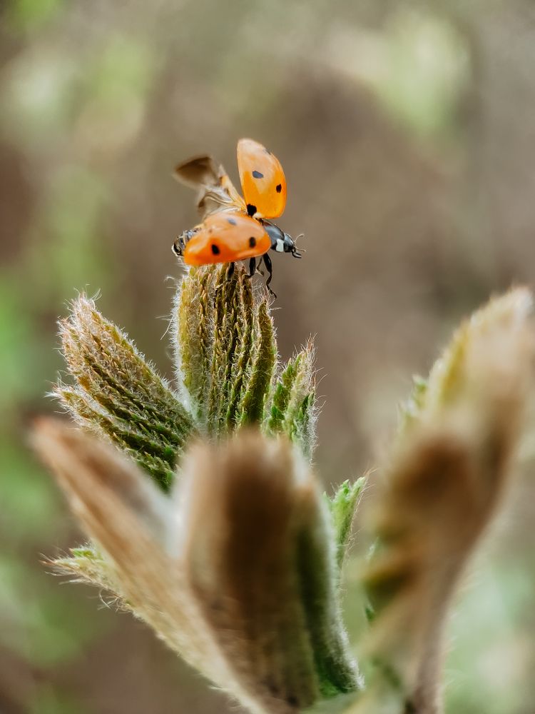 Photograph by Анна Бобкова