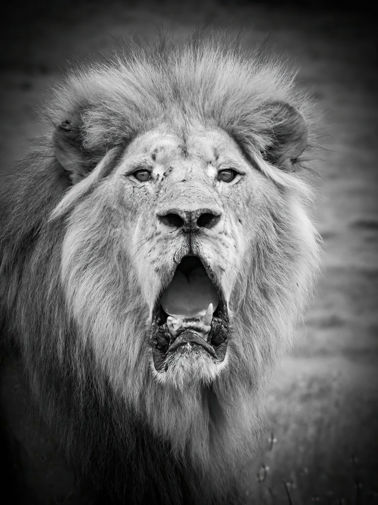 Photograph by Keith Carey