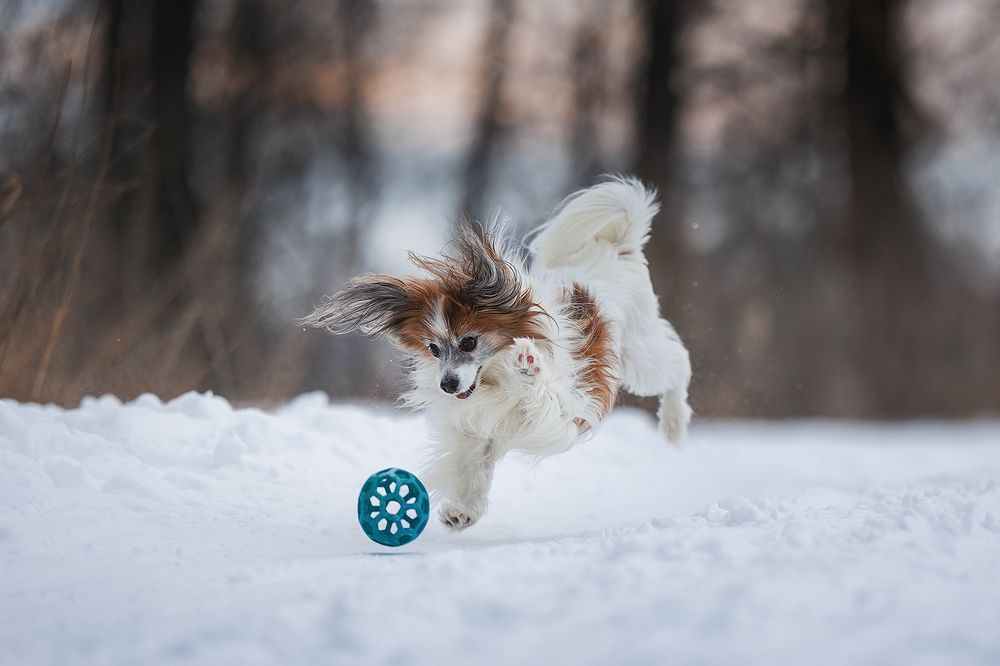 Photograph by Шитиков Владимир