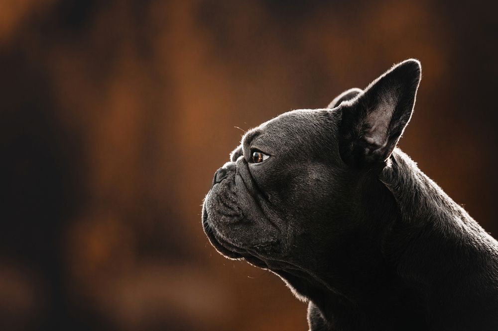 Photograph by Татьяна Степанова