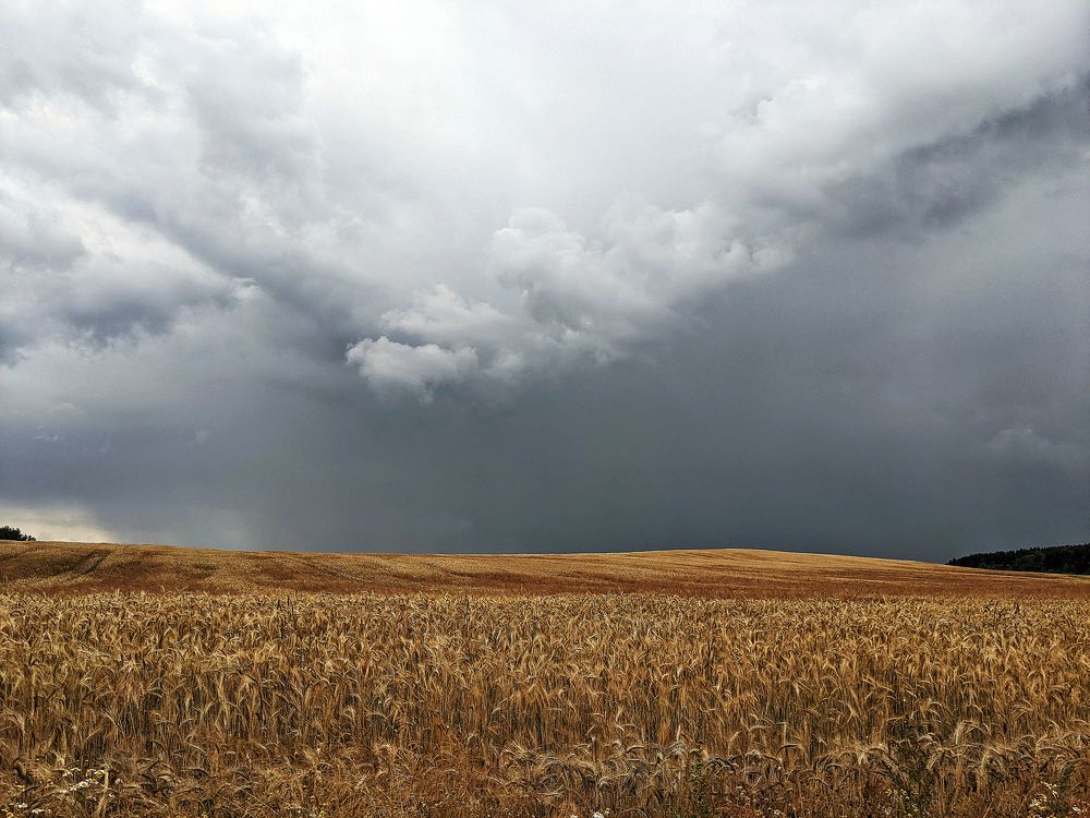 Photograph by Артем Филипеня