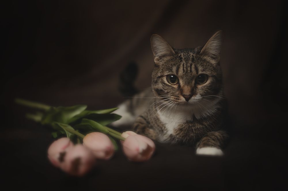 Photograph by Бальзирова Наталья