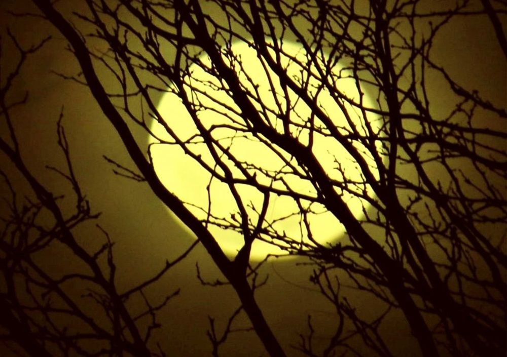 Концептуальная фотография