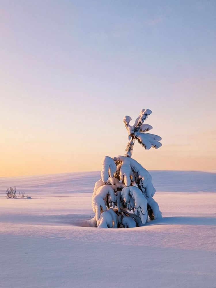 Photograph by Марина Хохрякова