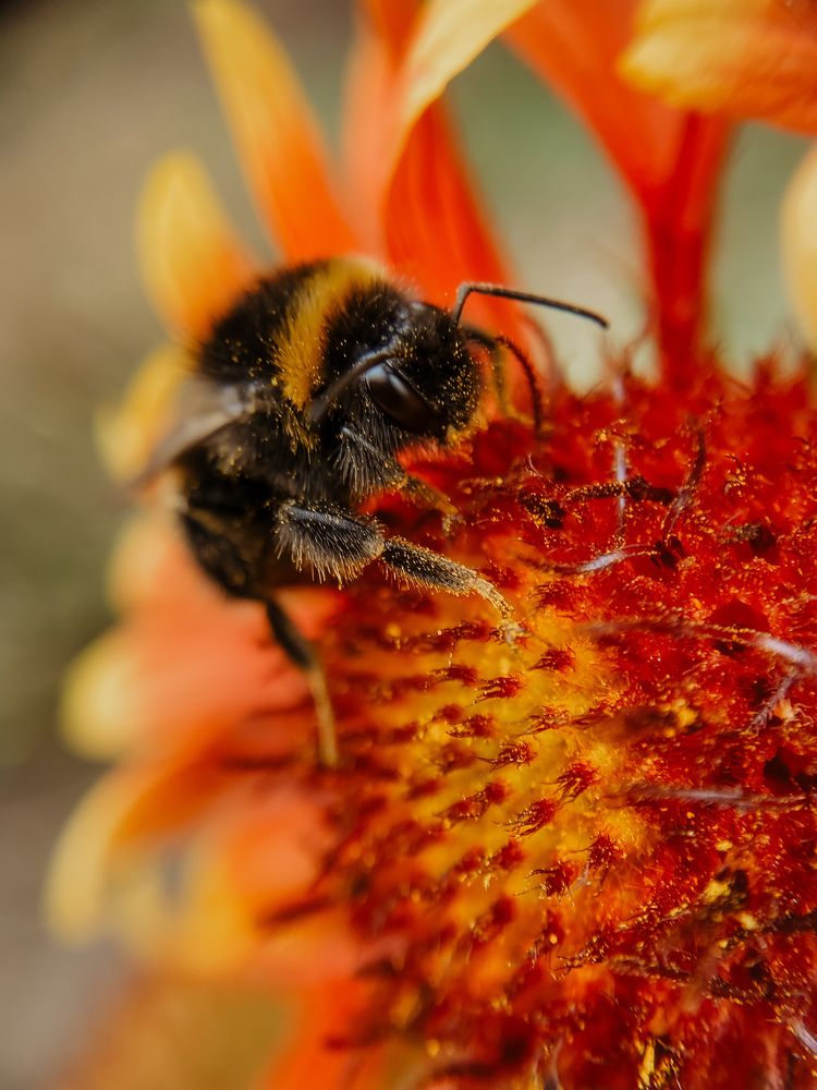 Photograph by Анна Бобкова