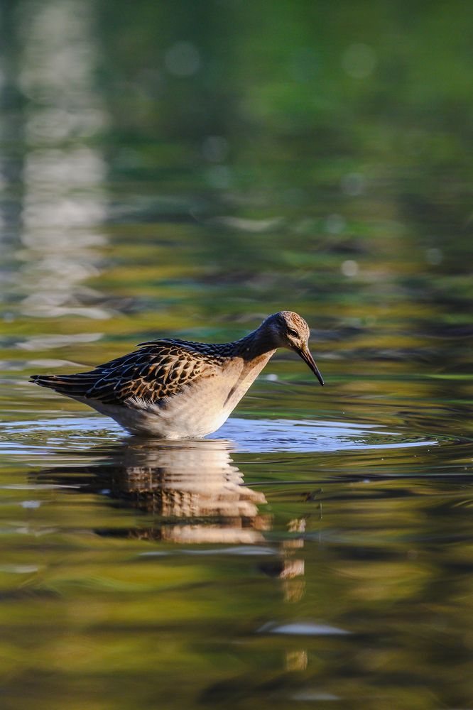 Фотография автора Мария Уланова