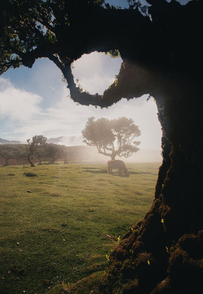 Photograph by Марина Зейтц