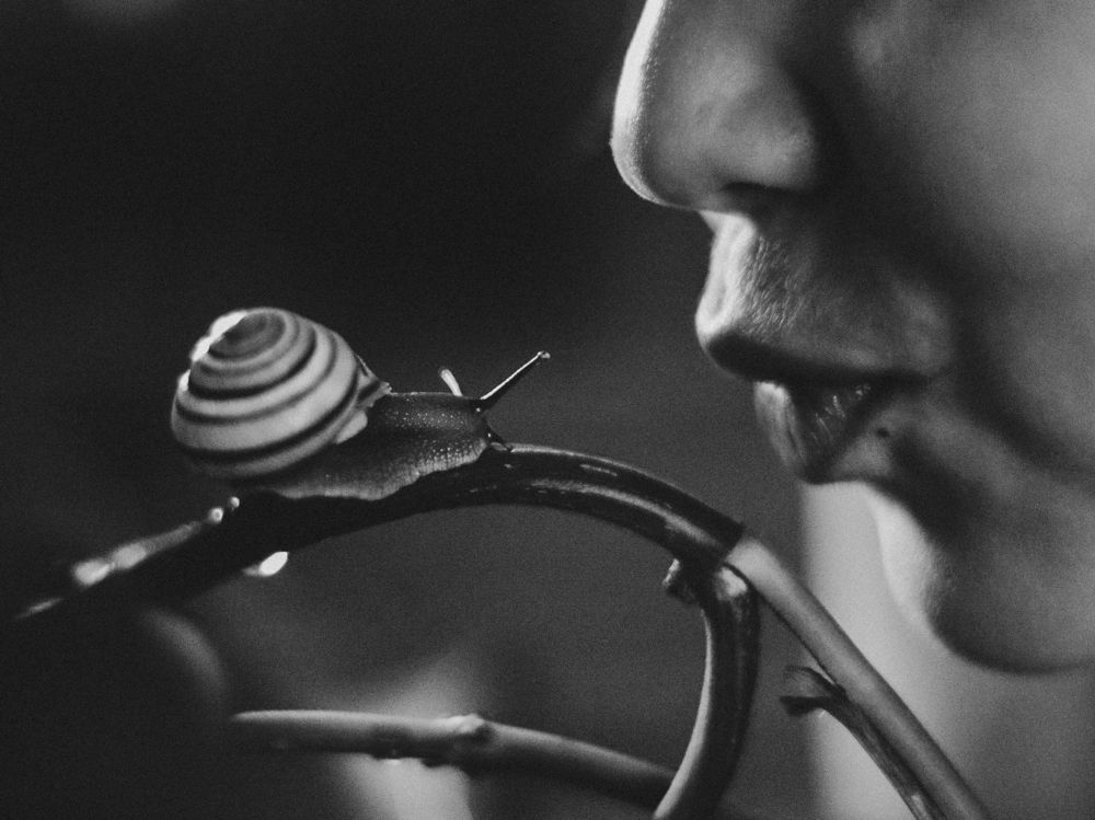 Photograph by Юлия Карпова