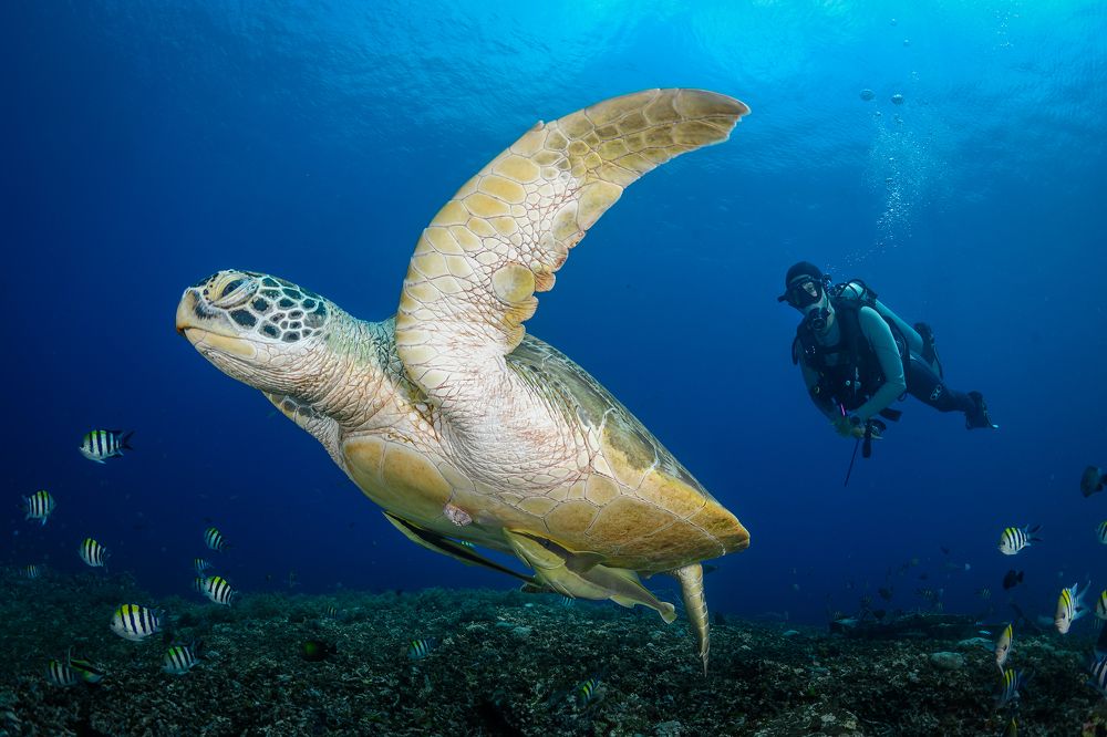 Фотография автора Luis Arpa