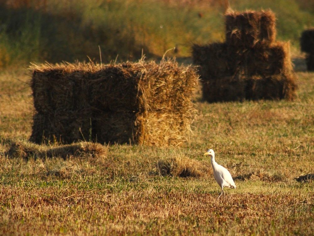 Photograph by Berk Karacin
