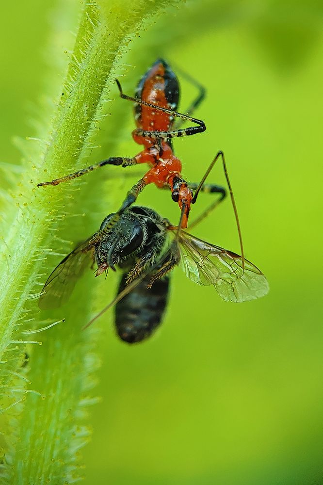 Photograph by AVISHEK MUKHERJEE