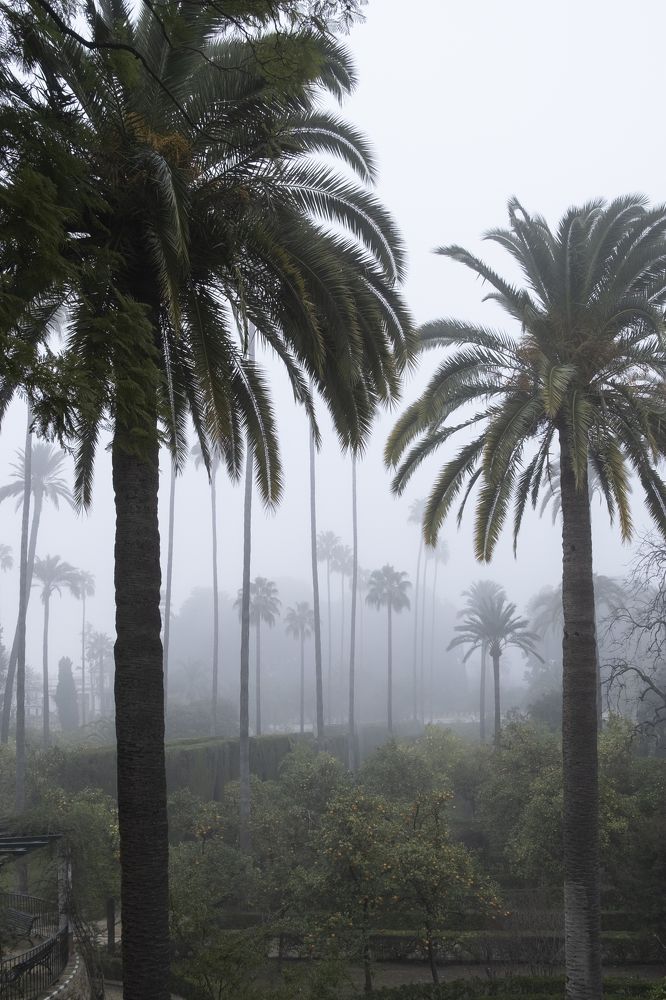 Alcazar de Seville