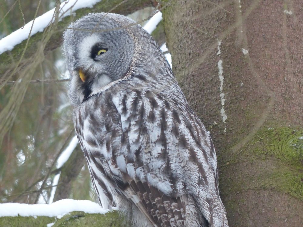 Photograph by Георгий Салюков