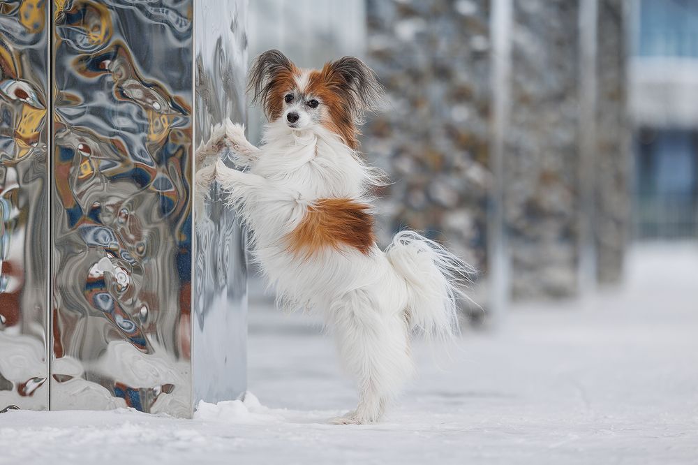 Photograph by Шитиков Владимир