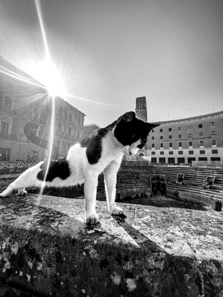 Photograph by pınar ergul