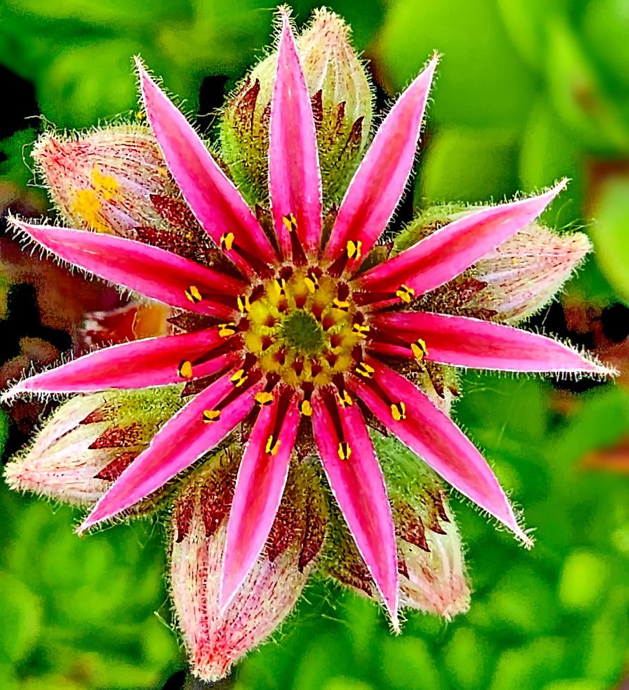 Photograph by Михаил Свиденцов