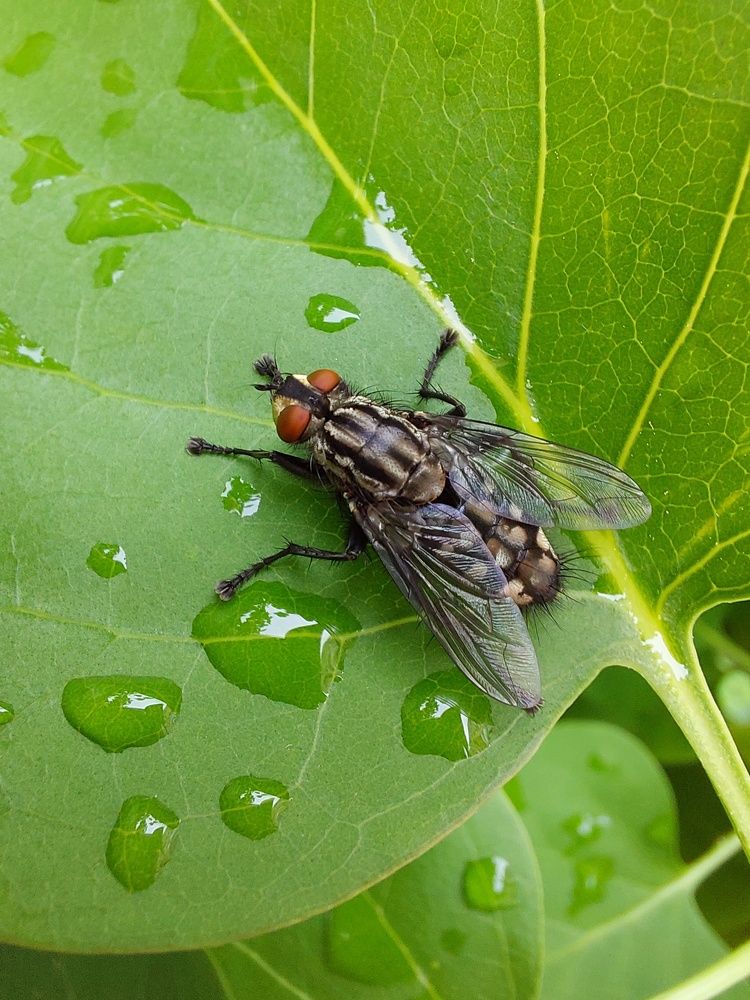 Photograph by Елена Ельчанинова