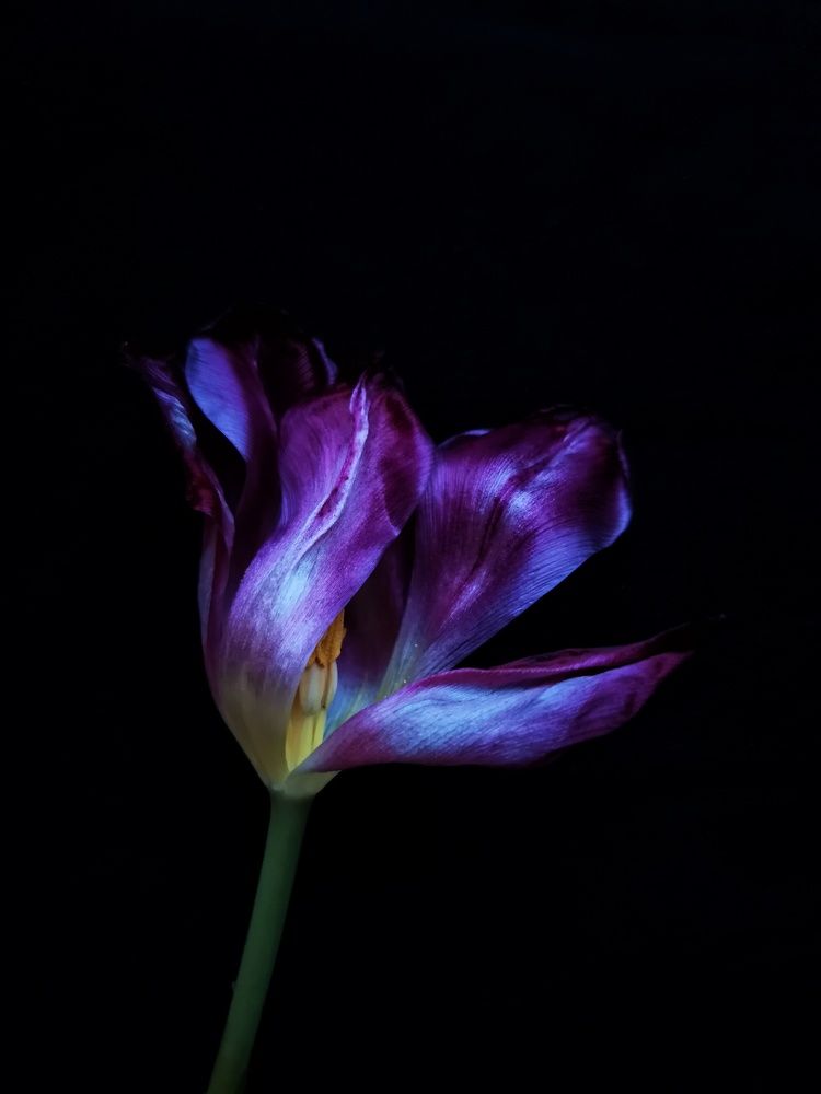 Photograph by Анна Кош