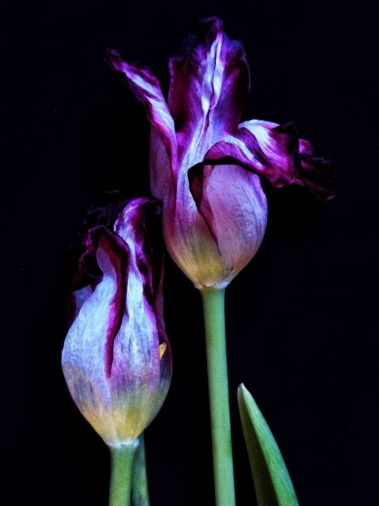 Photograph by Анна Кош