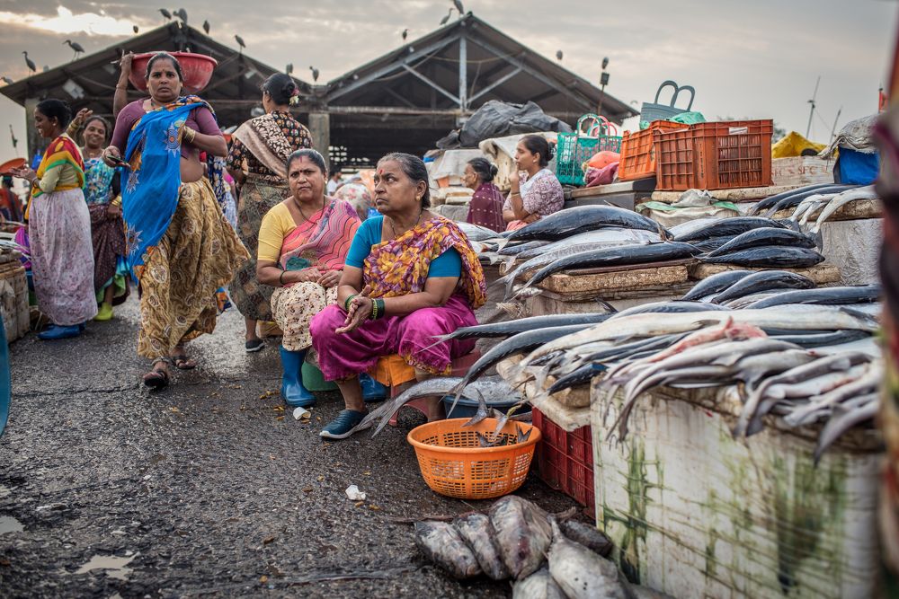 Photograph by stefania vella