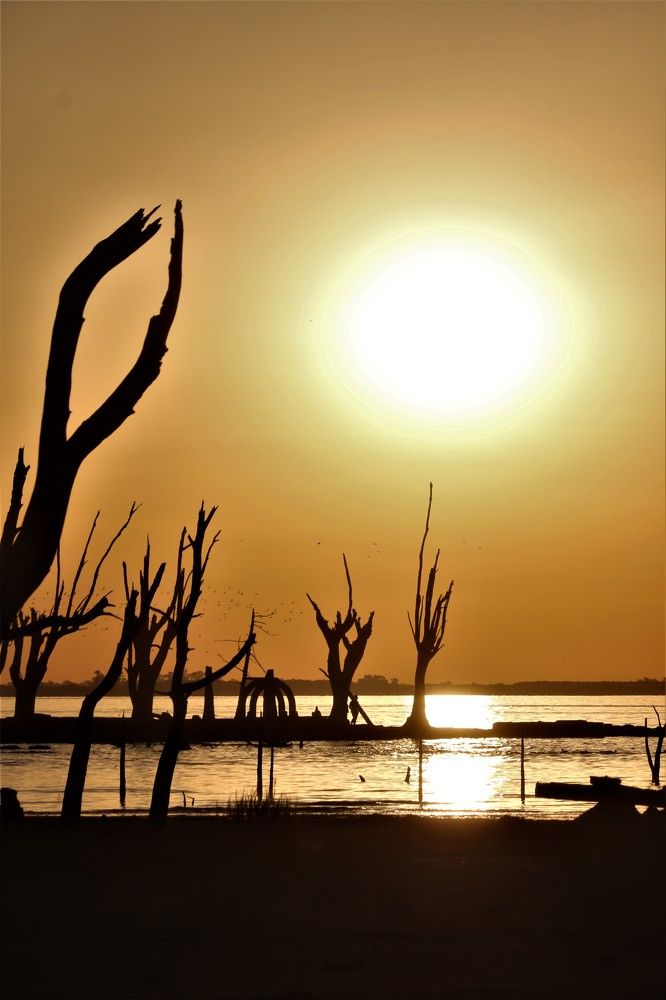 Photograph by Patricia Delionardis