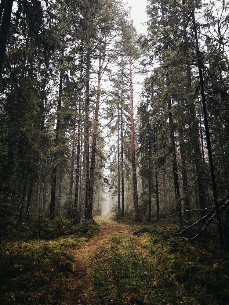 Photograph by Сергей