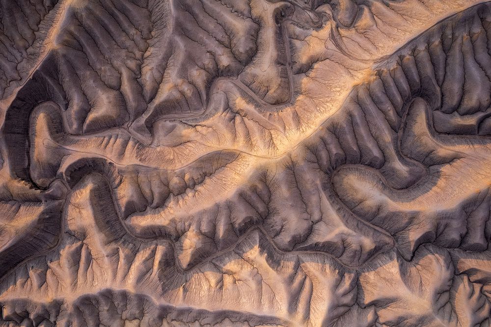 Photograph by Daniel Viñé Garcia