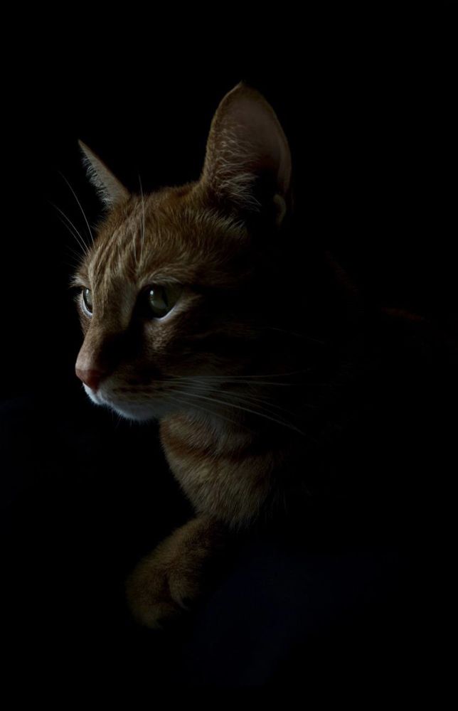 Photograph by Iryna Zakharchenia