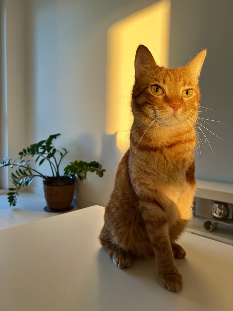 Photograph by Iryna Zakharchenia