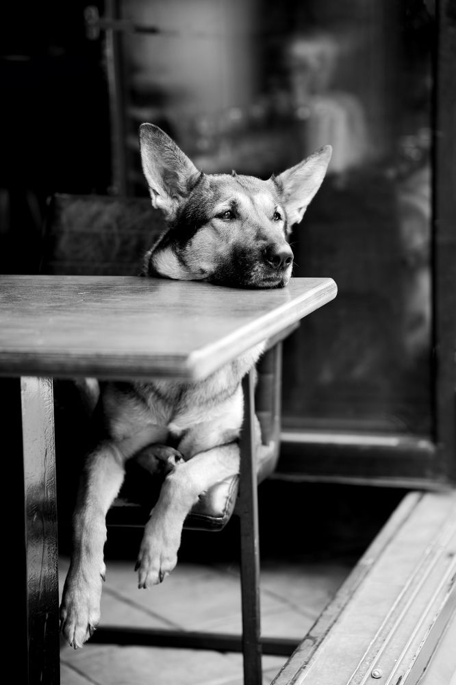 Photograph by pınar ergul