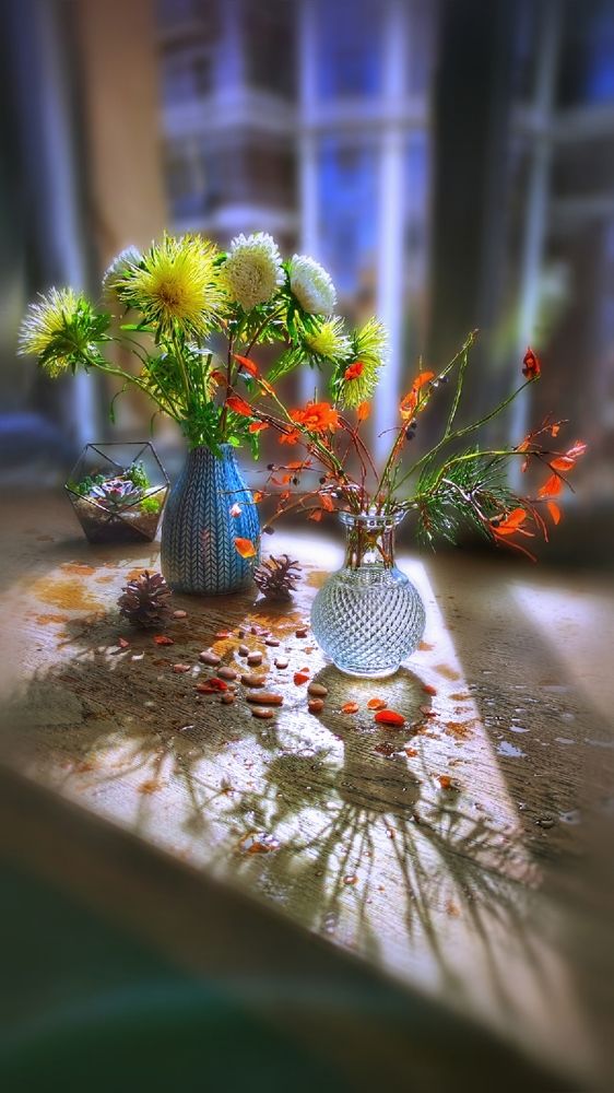 Photograph by Алла Холодова