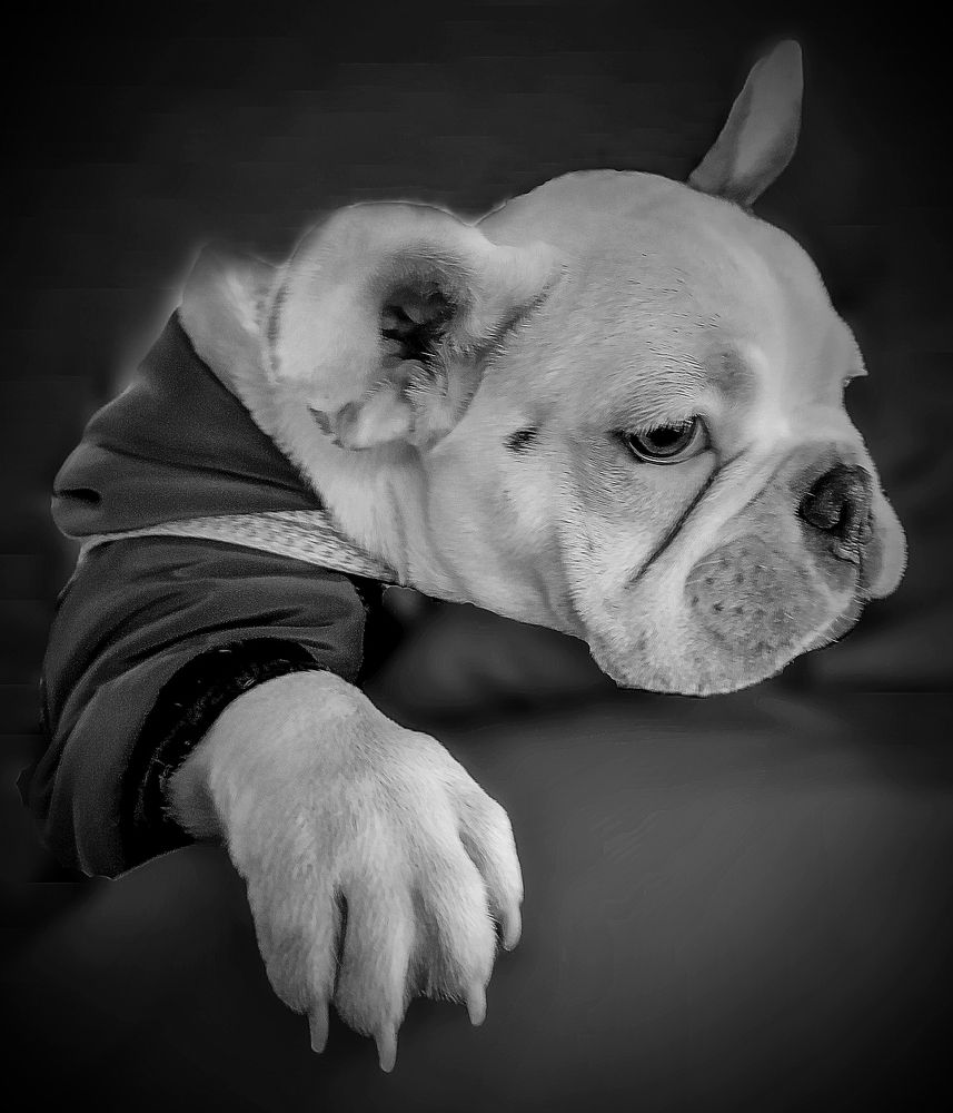 Грустный философ / The Sad Philosopher