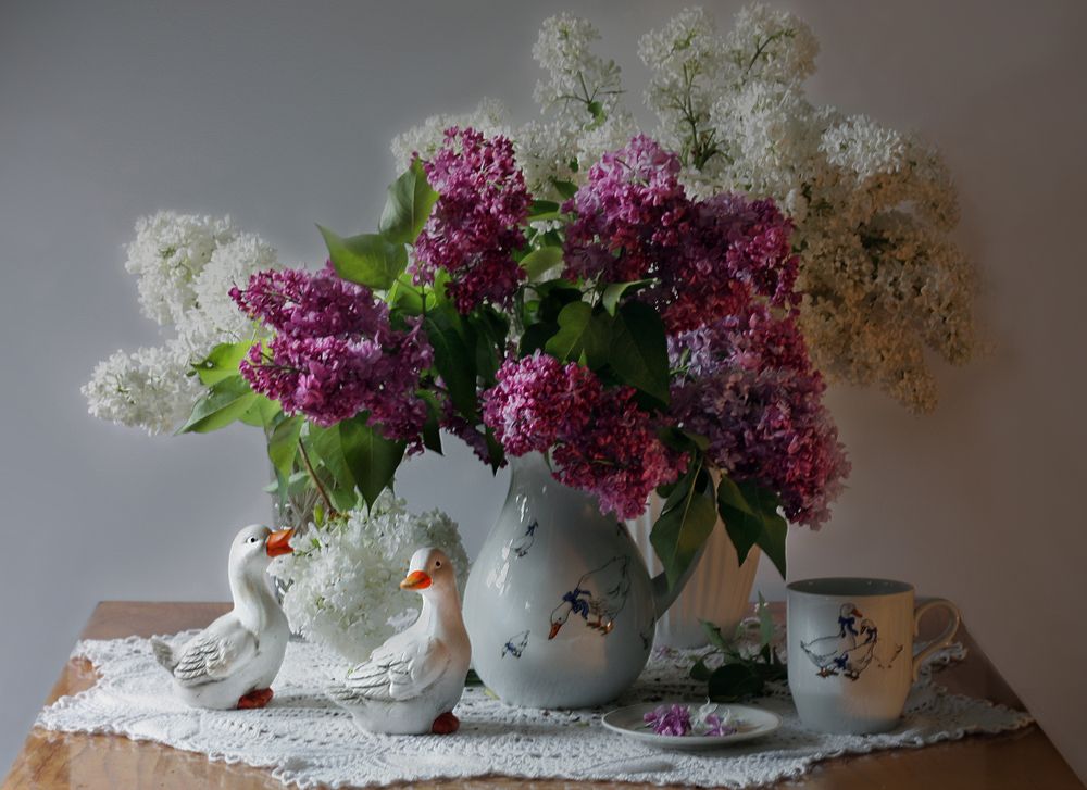 Photograph by Заболотская Ольга