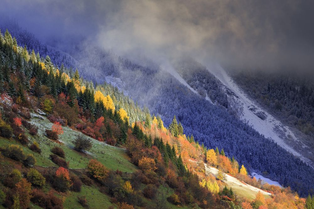 Photograph by Vadim Borkin