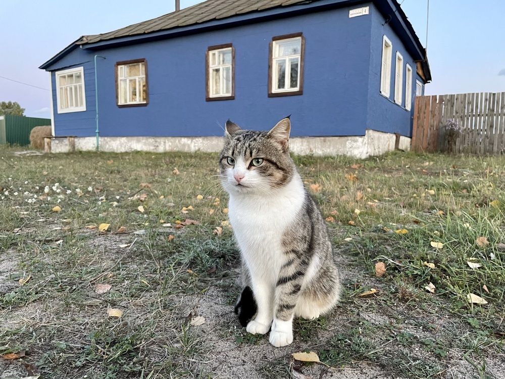 Photograph by Екатерина Шилкина