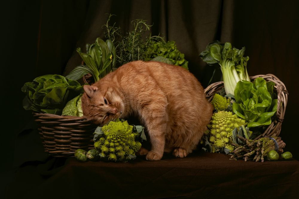 Photograph by Марина Красовская