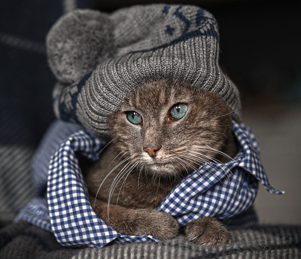 Photograph by Ольга Кудина