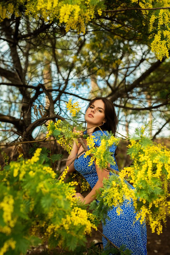 Фотография автора Jekaterina Feldsteine