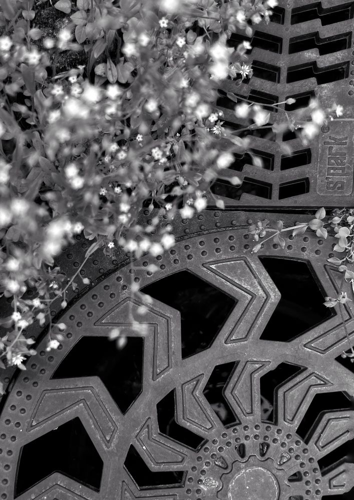 Photograph by Ирина