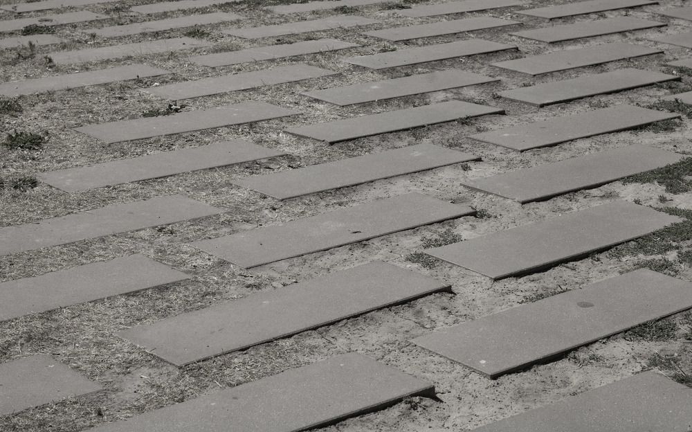 Photograph by Inna Tatarchenko