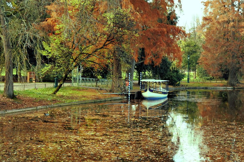 Photograph by Jose Guimaraes