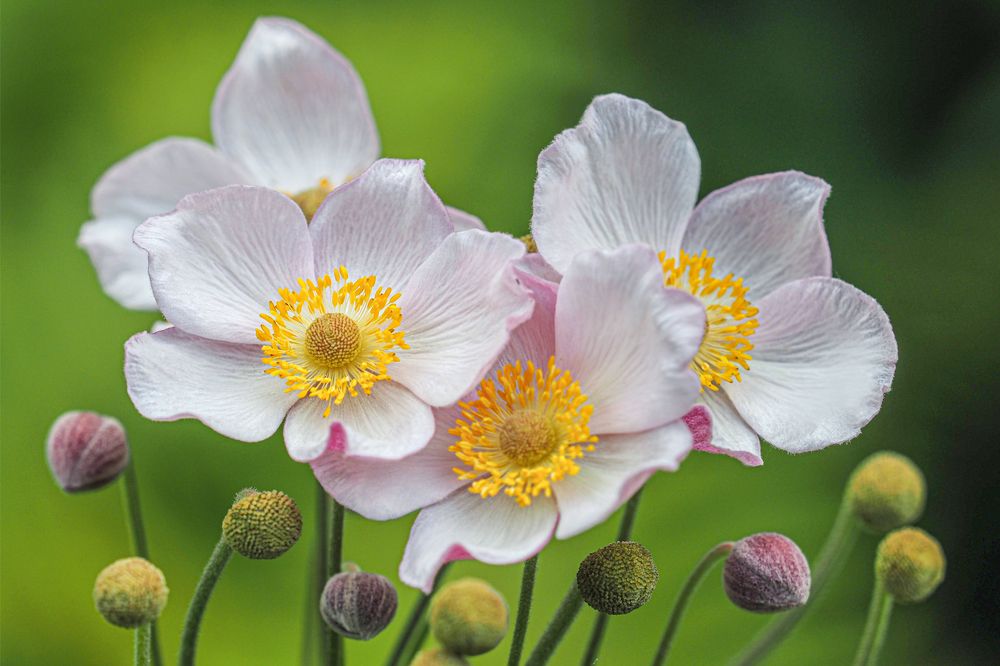 Photograph by Анжелика Титова