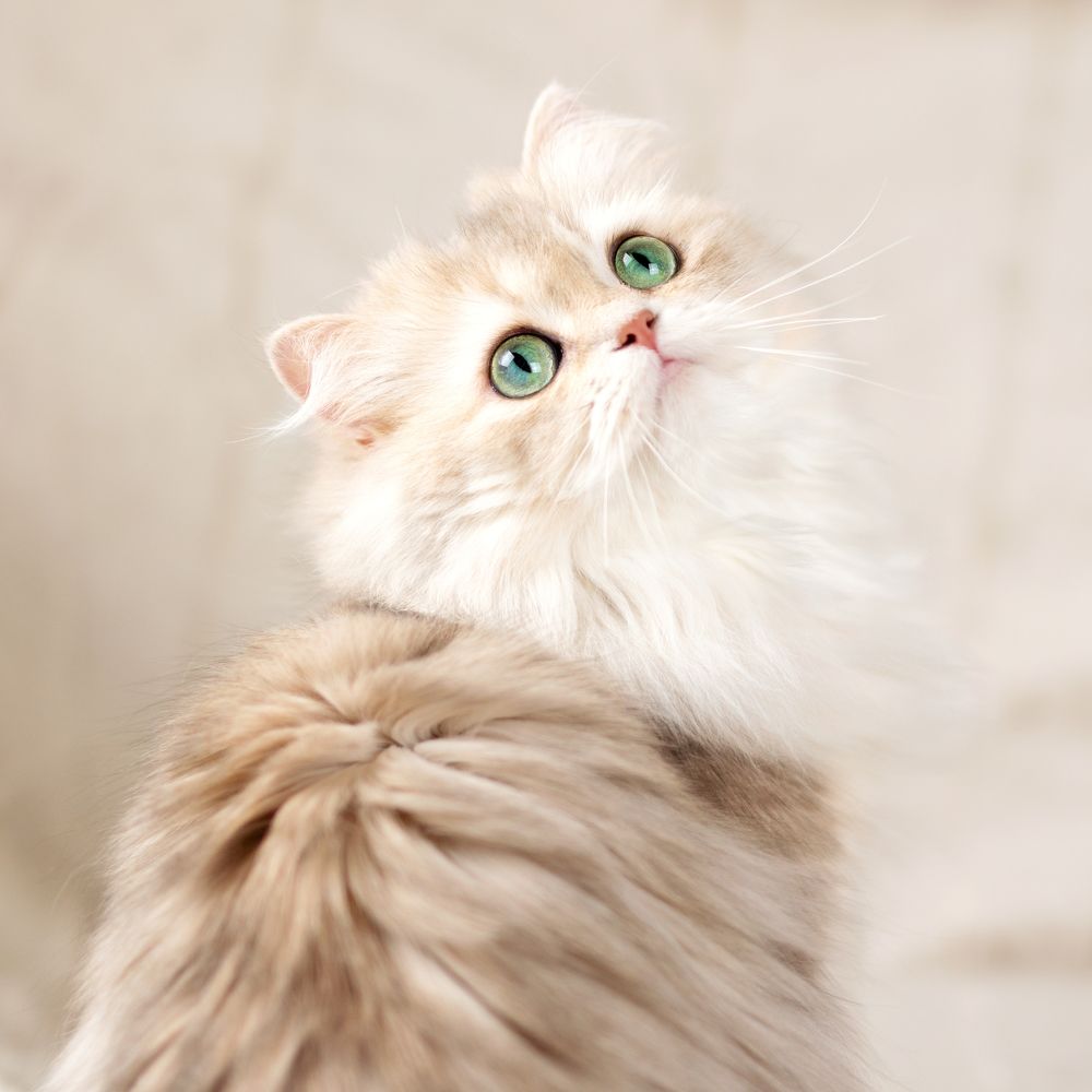 Photograph by Юлия Зубкова