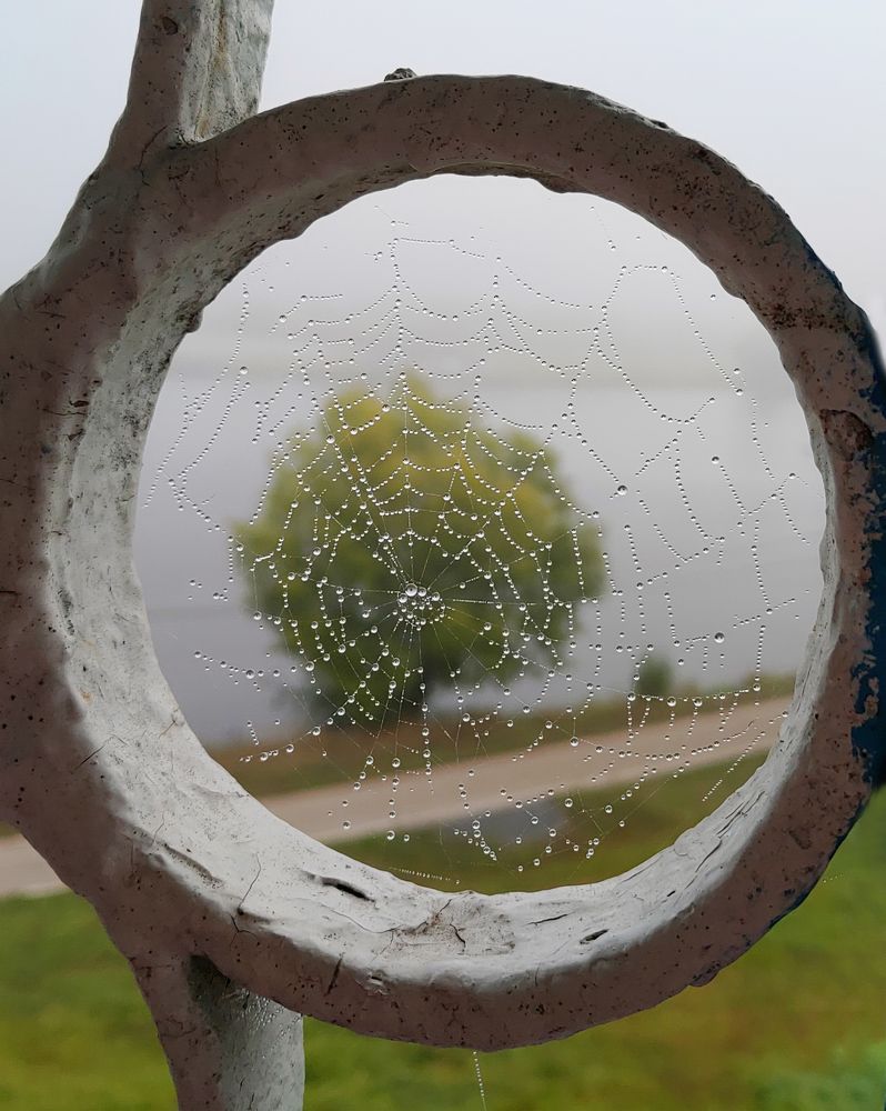 Photograph by Елена Алексеева