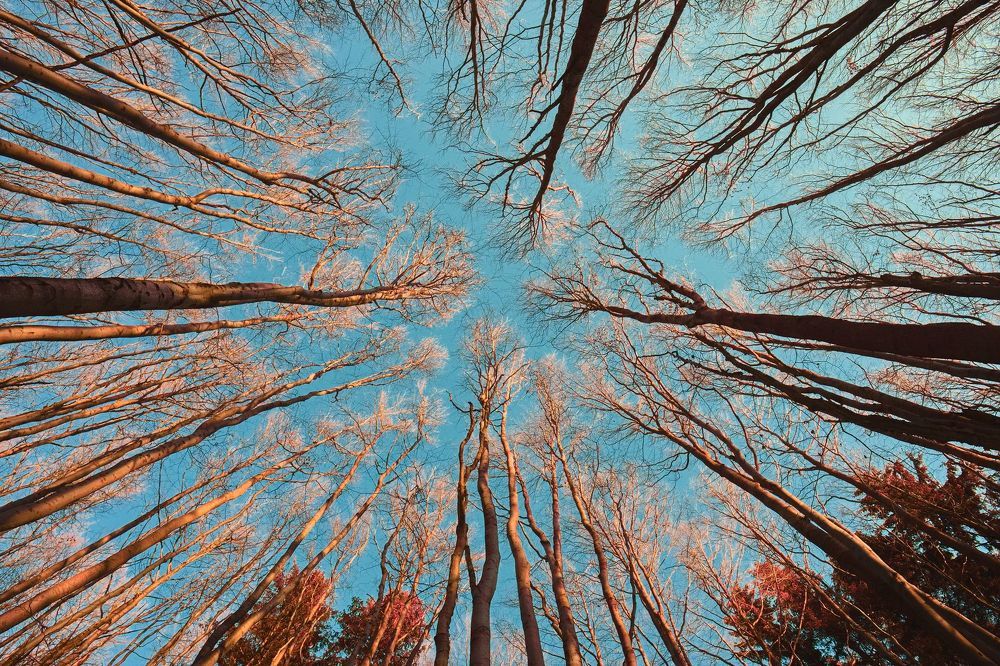 Photograph by Jan Musil