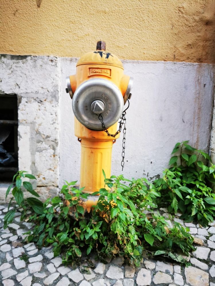 Фотография автора Ian Heard