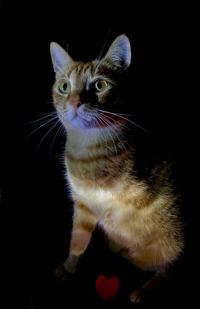 Photograph by Iryna Zakharchenia