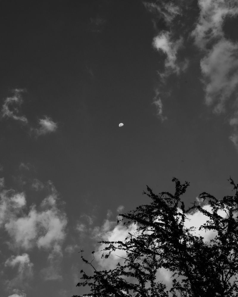 Photograph by José Agustín Rangel Rodríguez