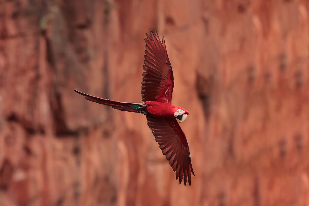 Фотография автора Ricardo Q T Rodrigues